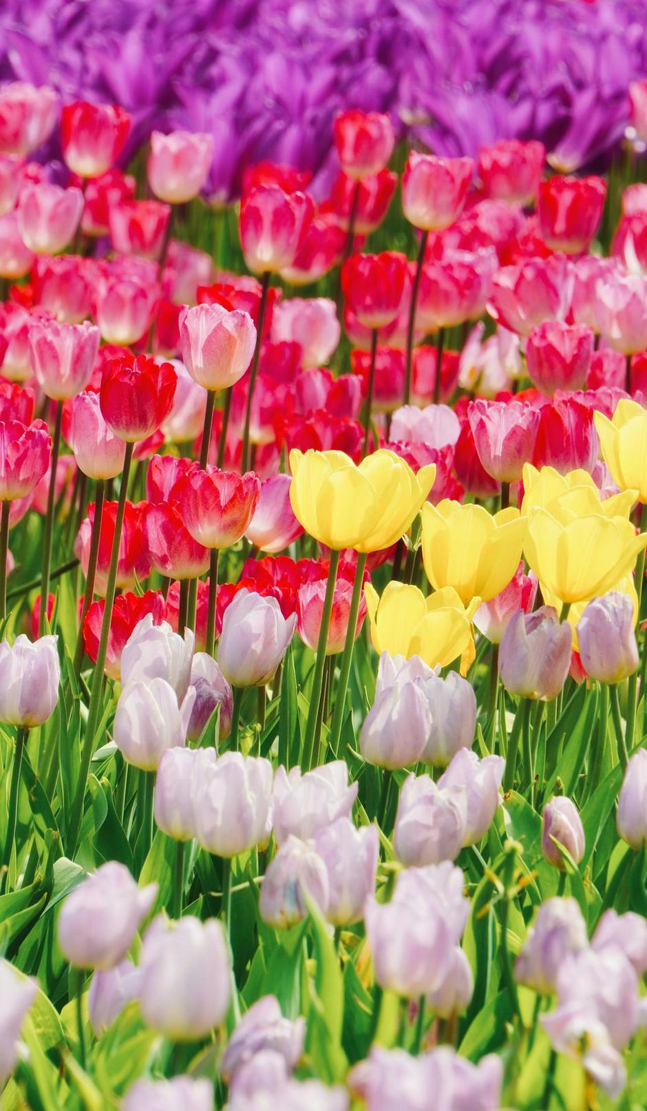  | Autor: Pexels / Edward