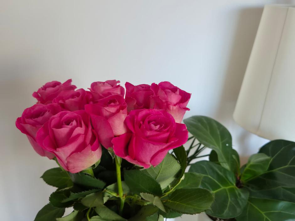  | Autor: Privatna arhiva