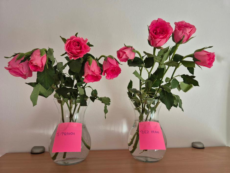  | Autor: Privatna arhiva