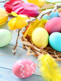 Bojenje jaja: evo ideja da ovog Uskrsa imaš najljepšu košaricu s jajima!