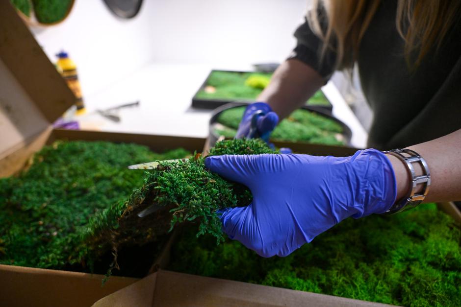  | Autor: Pixsell/Igor Šoban