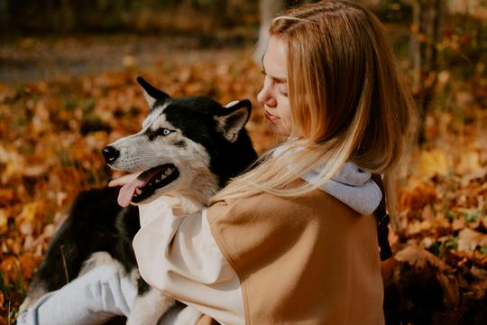 Pasmina i osobnost vlasnika