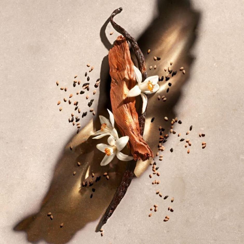  | Autor: Zadig & Voltaire