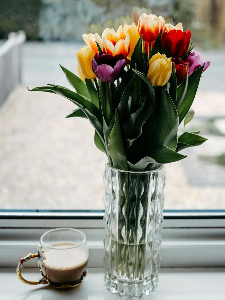  | Autor: Pexels / Lisa from Pexels