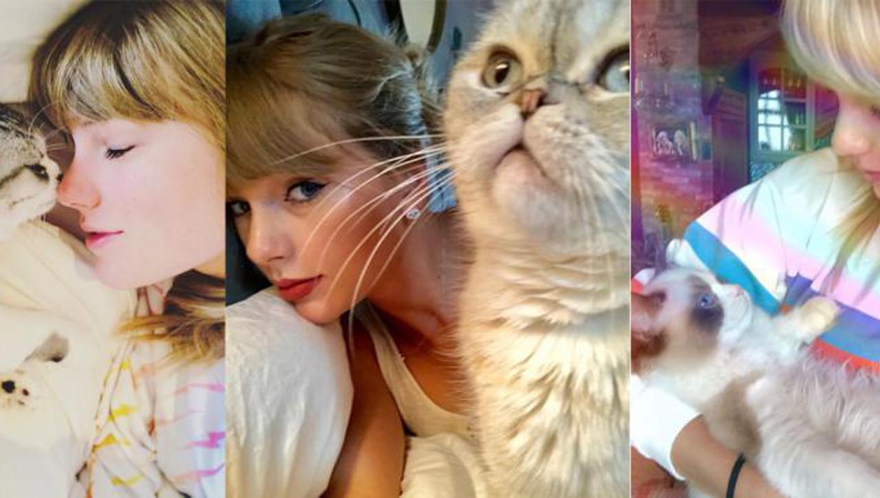 Mačke Taylor Swift