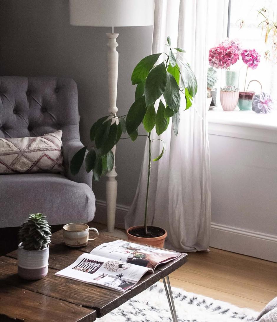  | Autor: Instagram @emmajunedesigns