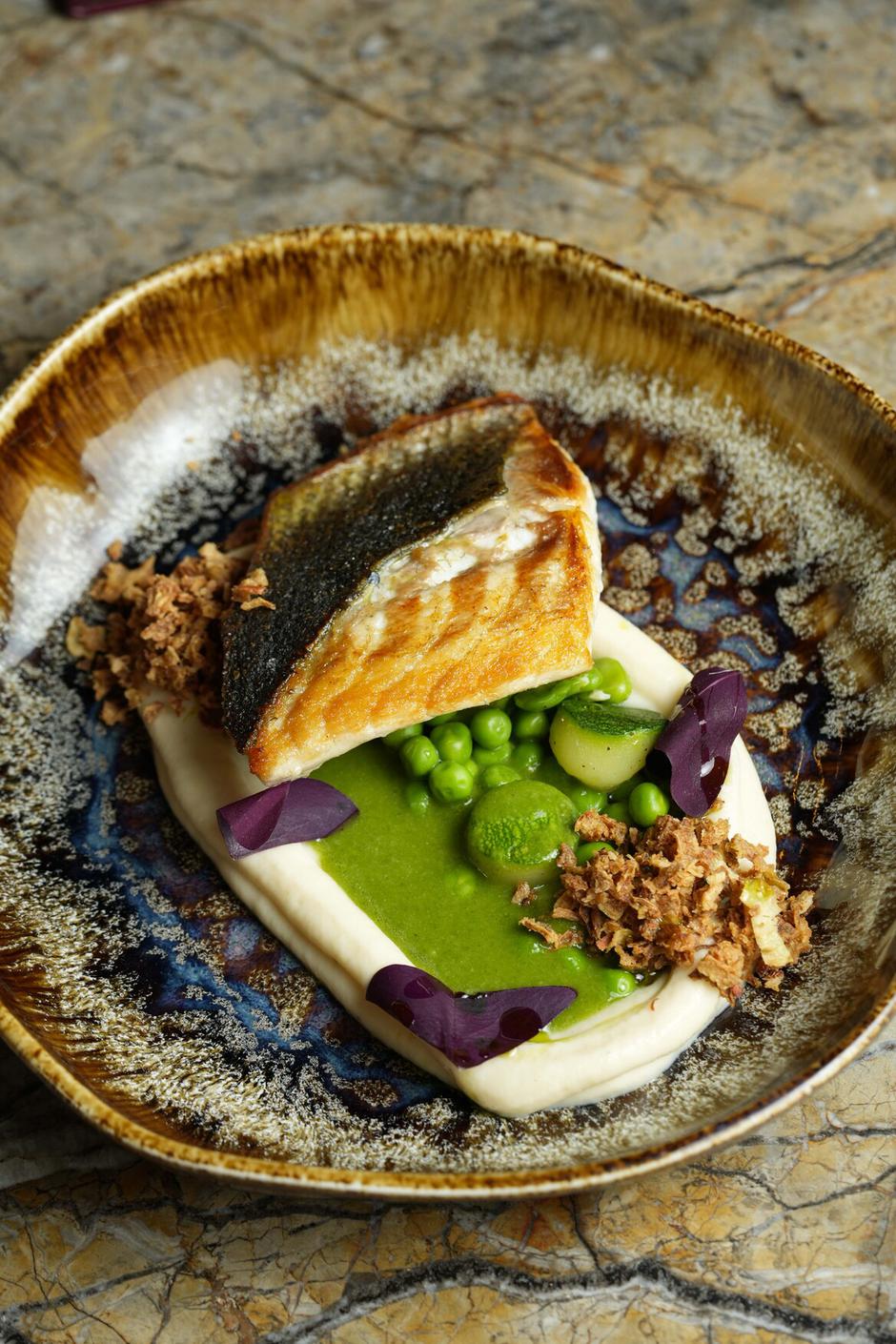  | Autor: Bojan Zibar