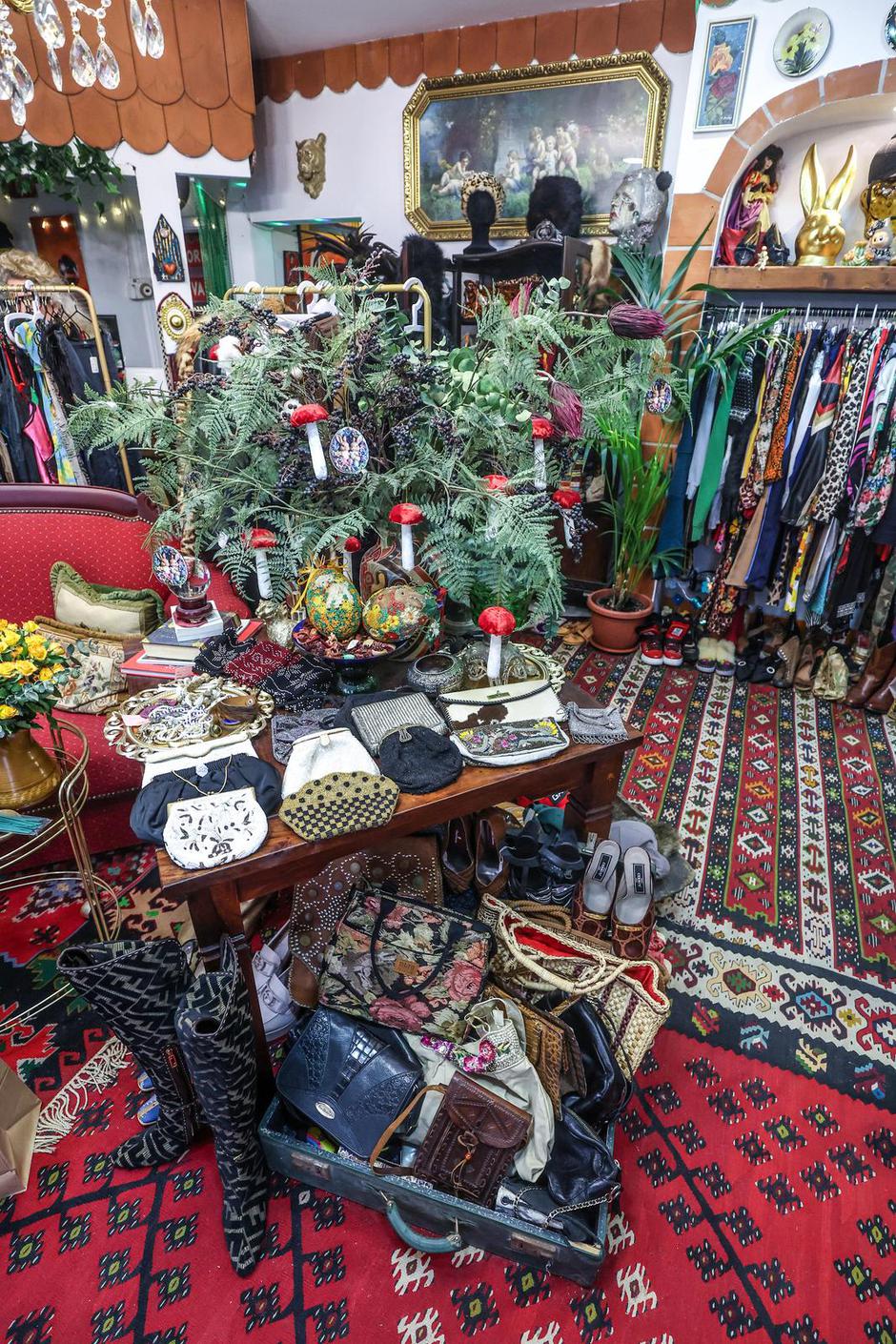  | Autor: Pixsell/Slavko Midžor