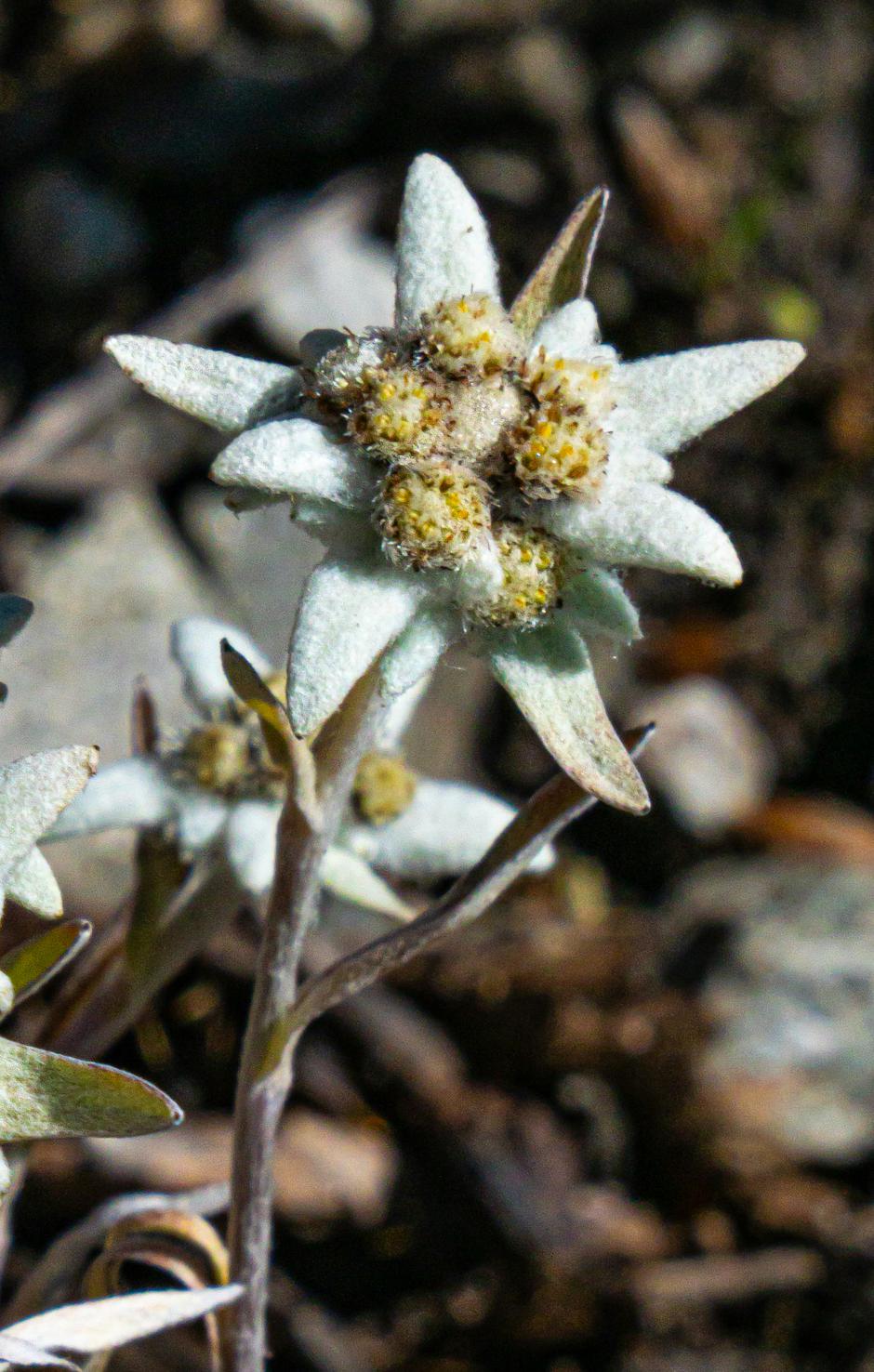  | Autor: Unsplash+ / Christopher Politano