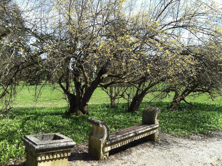  | Autor: priroda-vz.hr