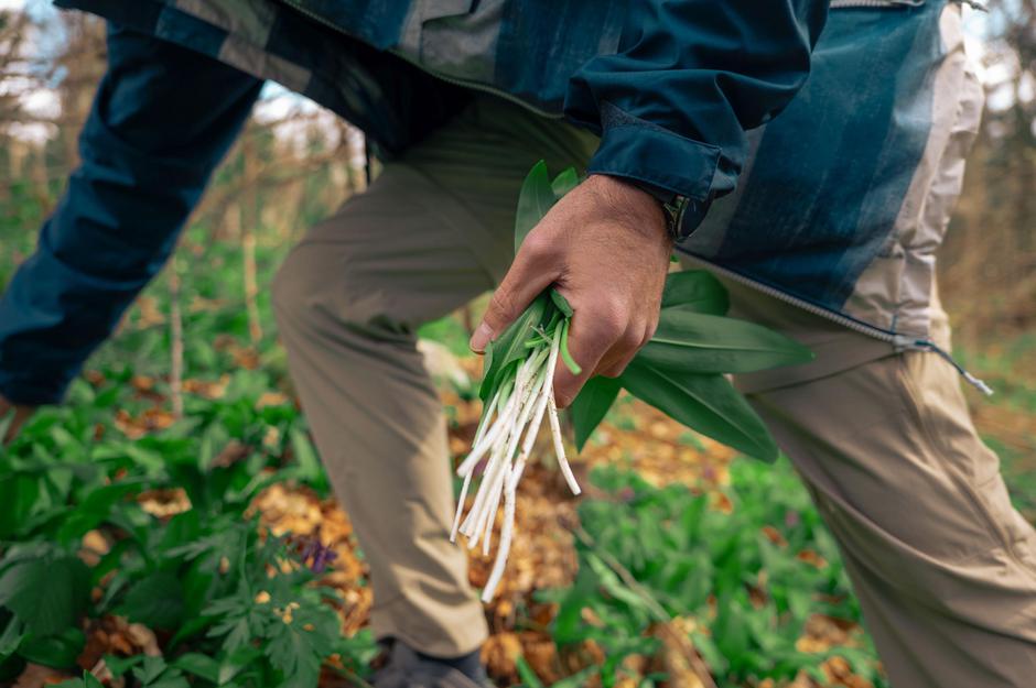  | Autor: Ramai Rudan