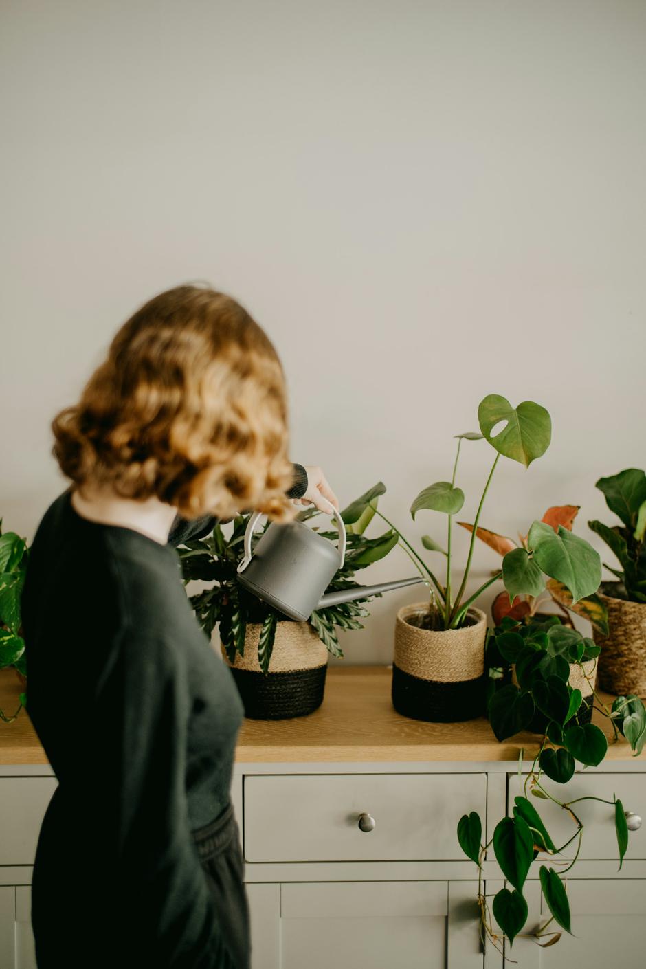  | Autor: Unsplash/Annie Spratt