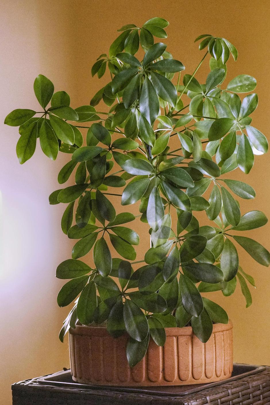  | Autor: Pexels/Ryszard Zaleski