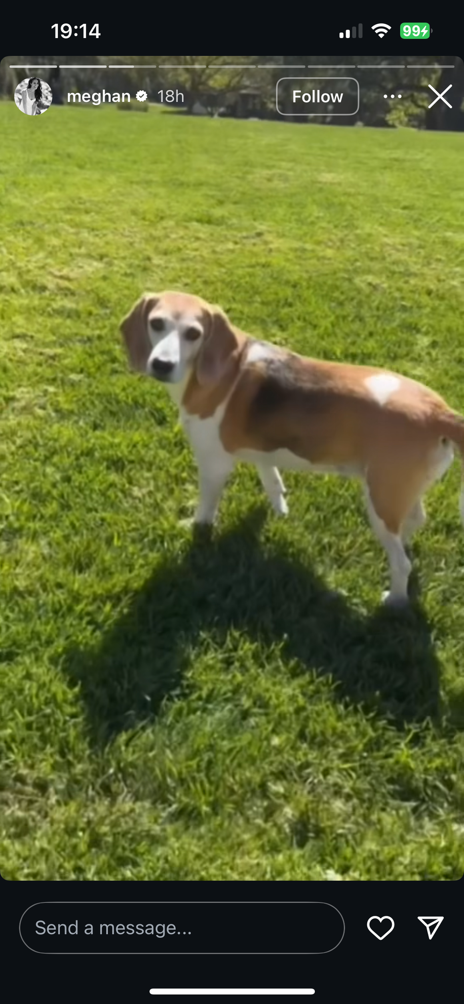  | Autor: Instagram @meghan markle