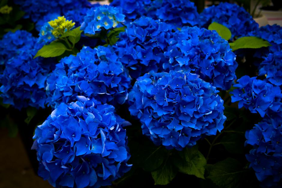  | Autor: Unsplash/Jisoo Park