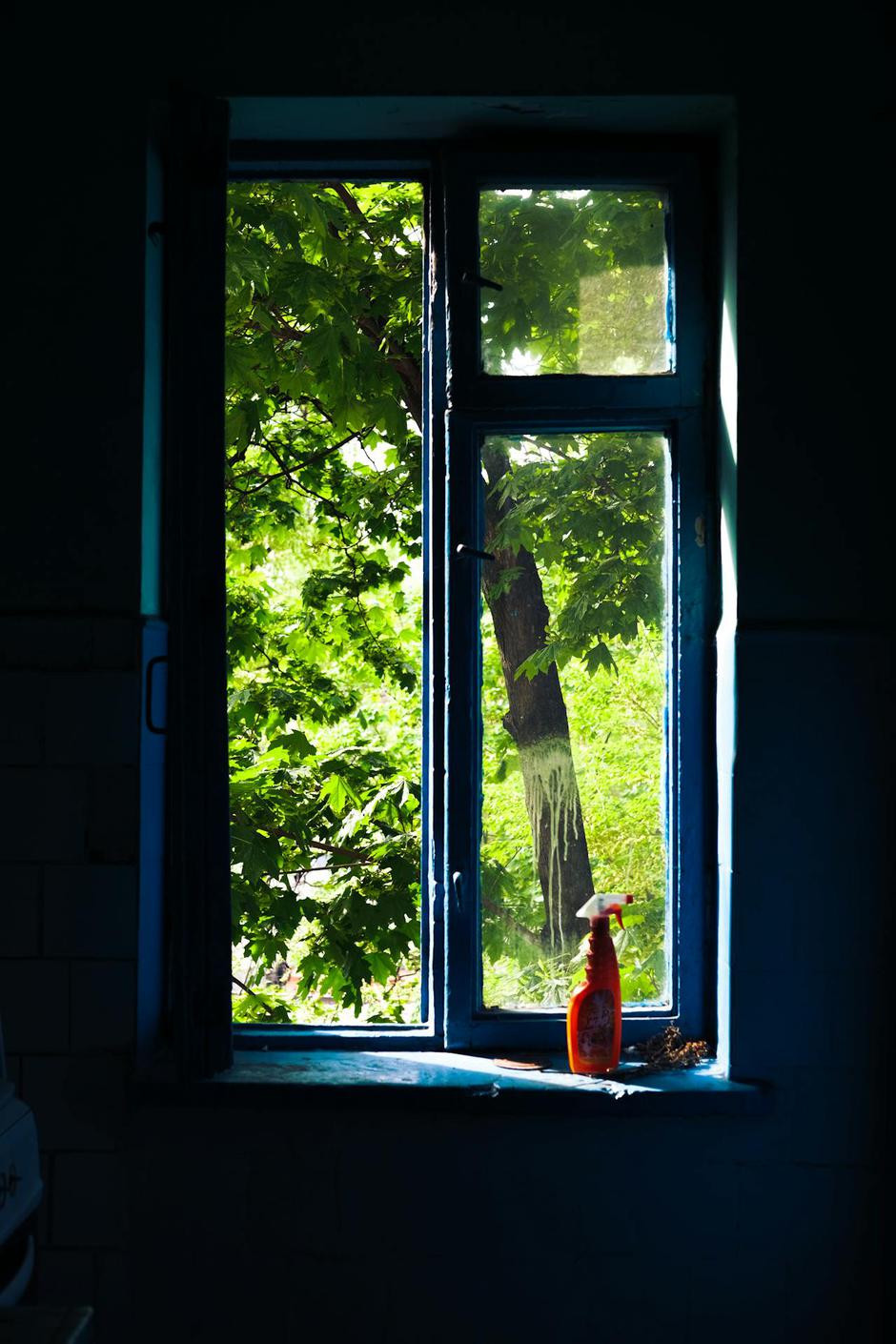  | Autor: Pexels / Nichita Grimovici