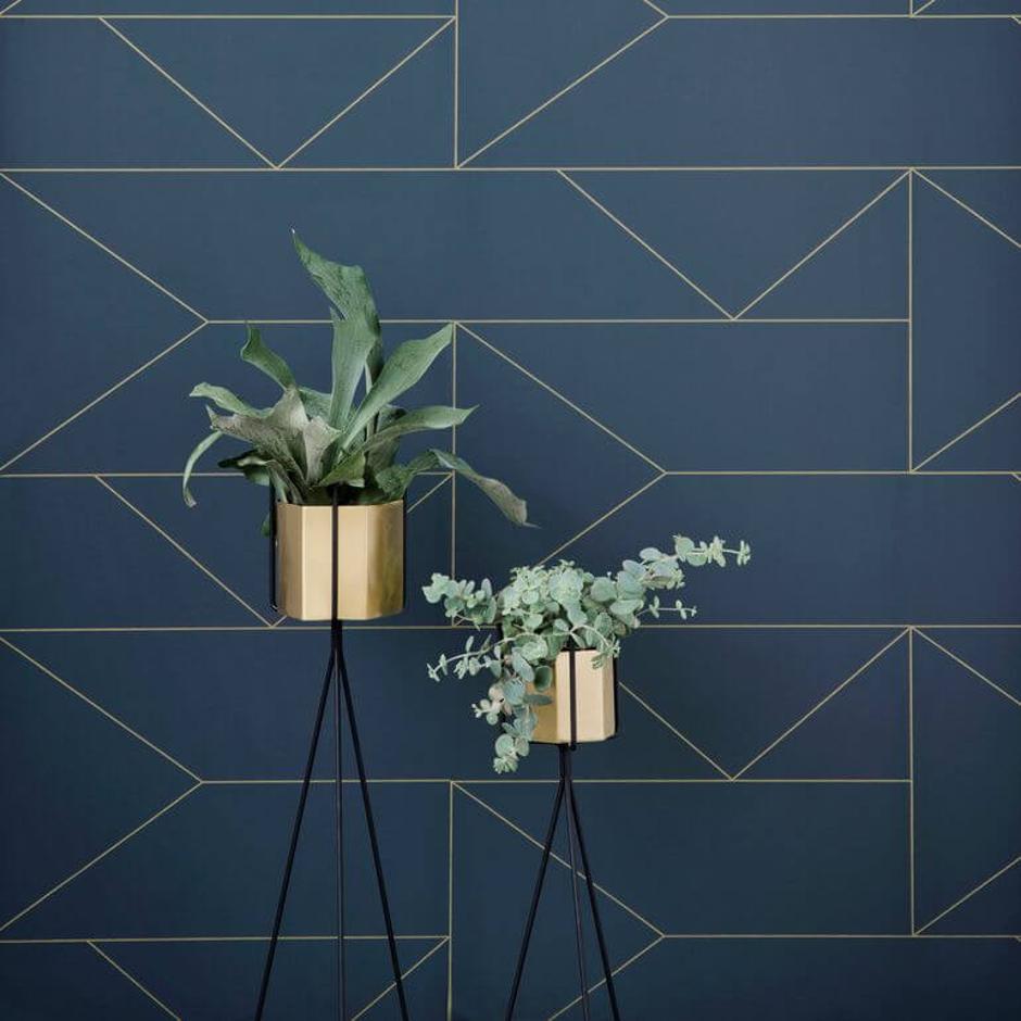  | Autor: Dizajnholik