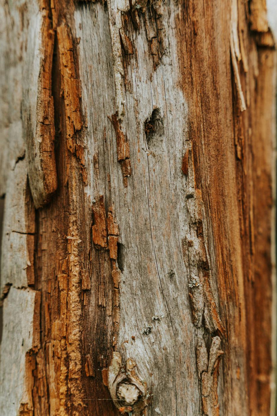  | Autor: Oskar Kadaksoo/ Unsplash