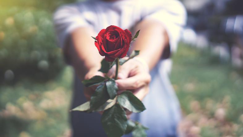 Ruža na poklon oduševit će svaku ženu