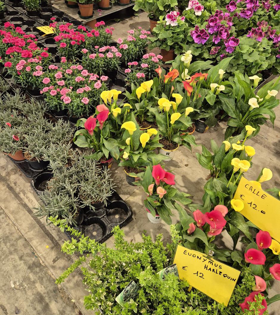  | Autor: Privatni album