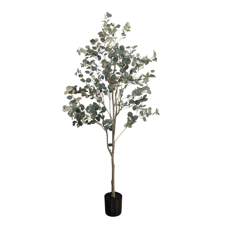  | Autor: Dobar partner