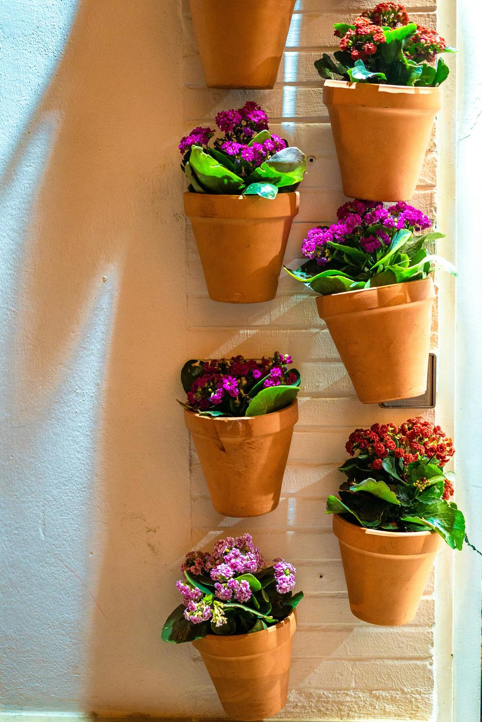  | Autor: Unsplash / Nada Elmekkawi