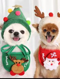 Božićni kostimi za kućne ljubimce