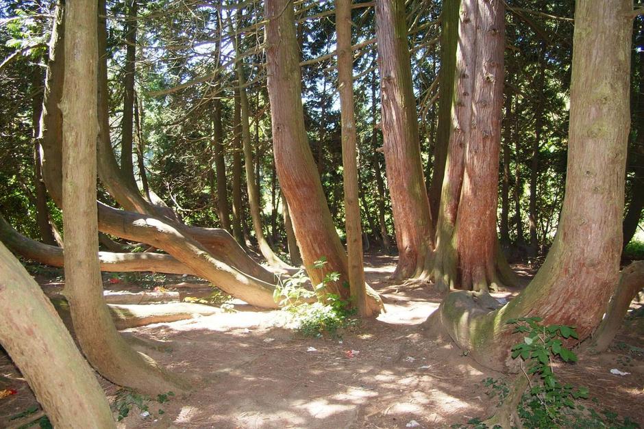  | Autor: priroda-vz.hr