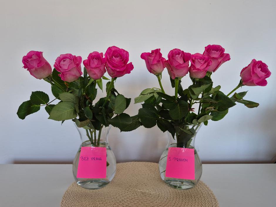  | Autor: Privatna arhiva