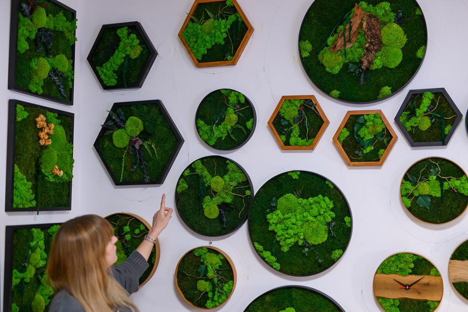  | Autor: Pixsell/Igor Šoban