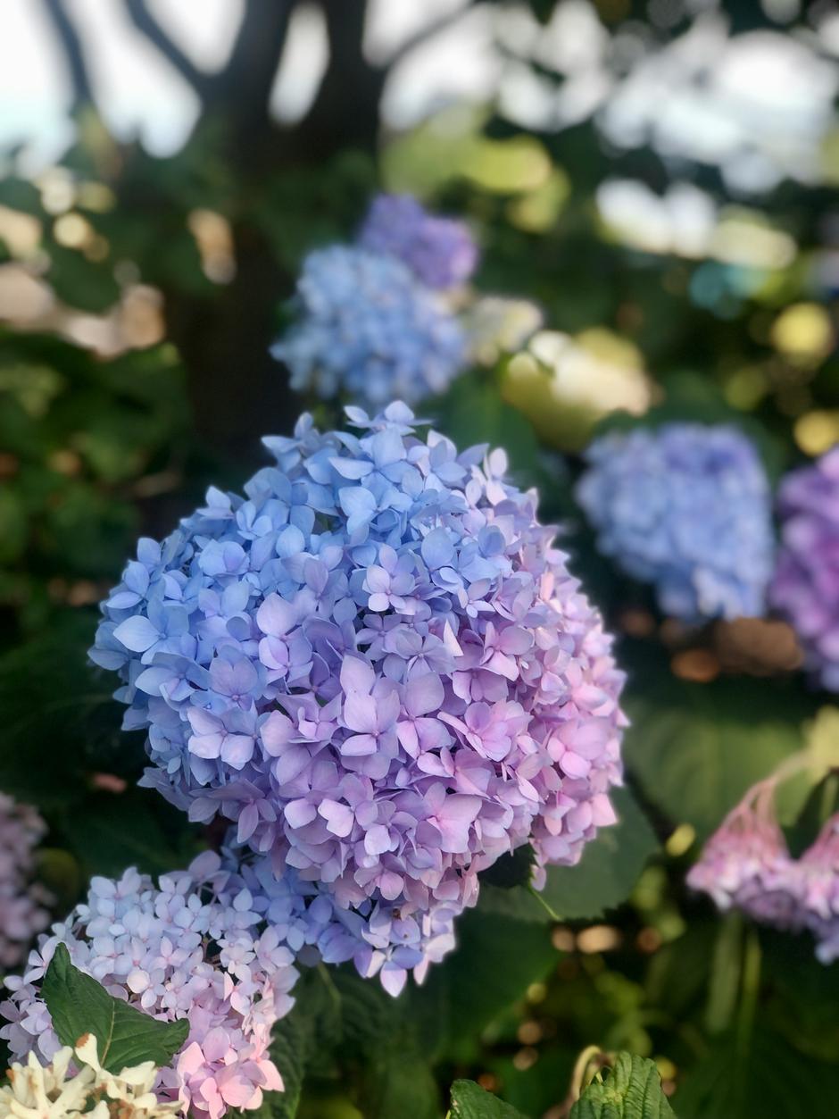  | Autor: Unsplash/Stephanie Klepacki
