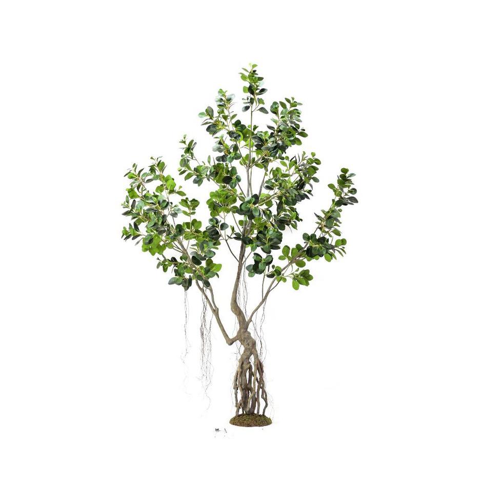  | Autor: Dobar partner