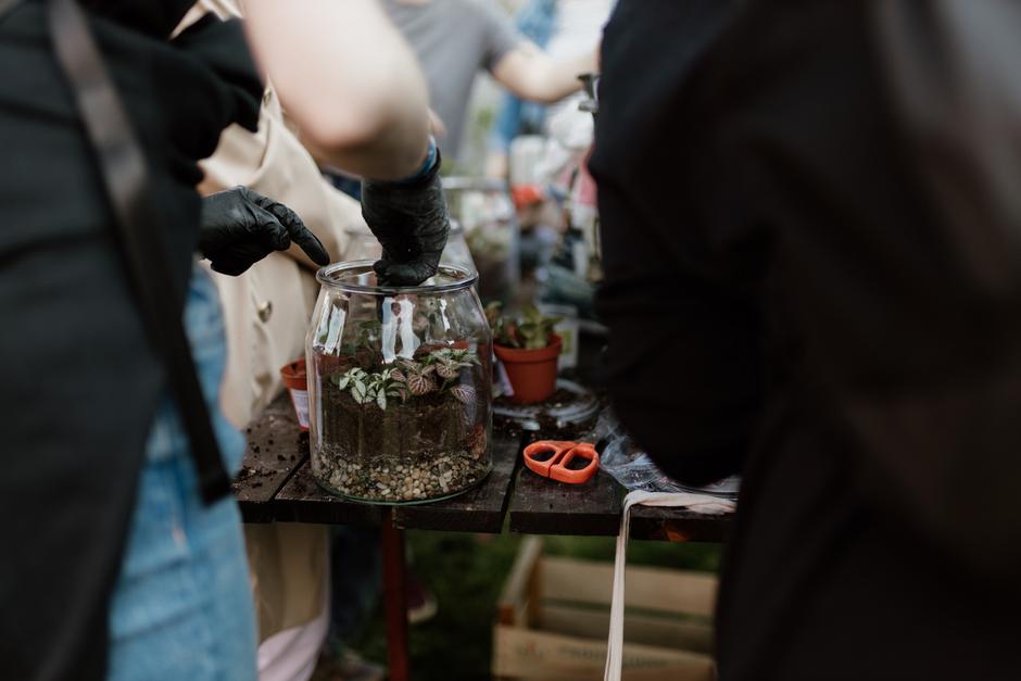  | Autor: Facebook/Hortiart