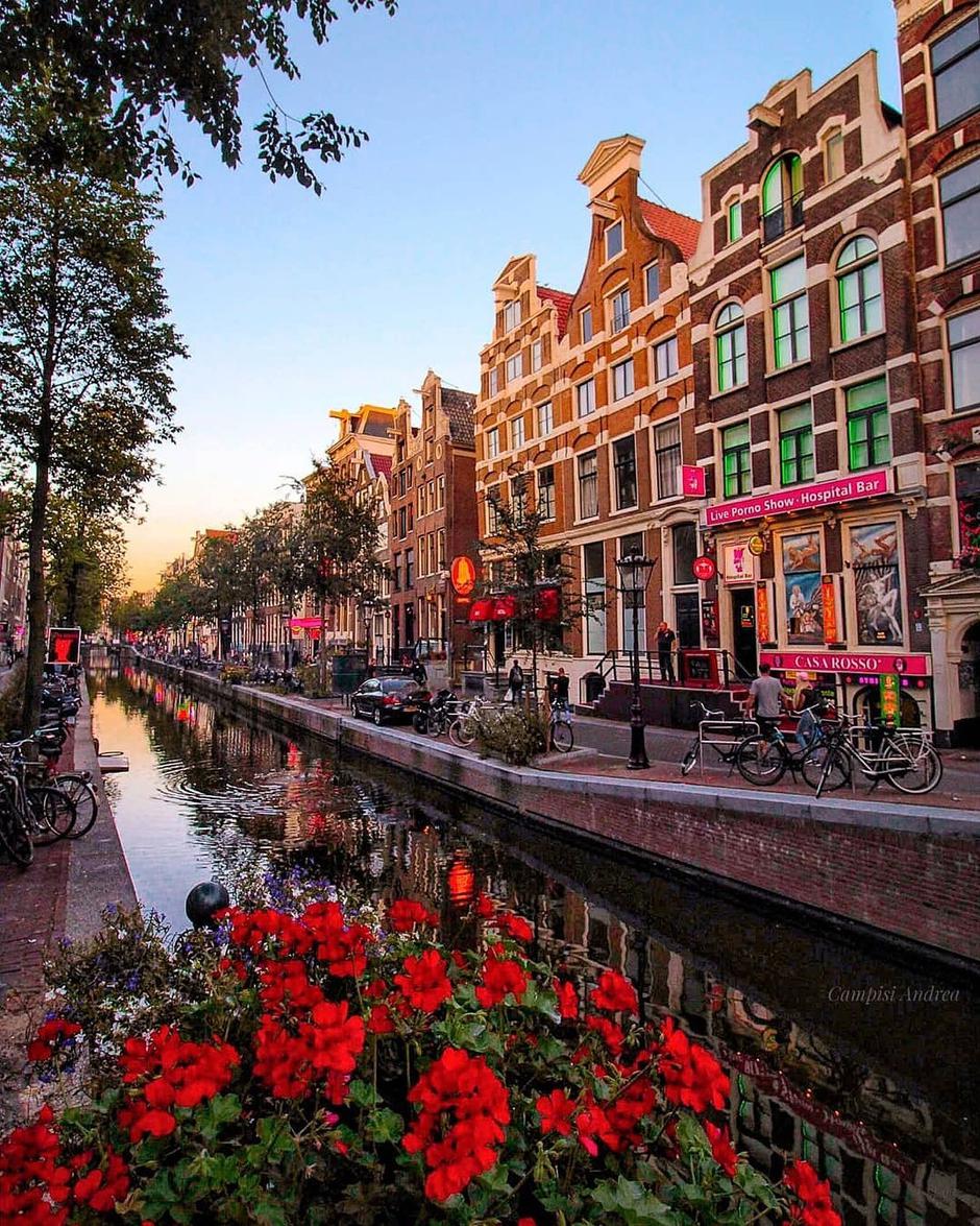  | Autor: Instagram / @Amsterdam