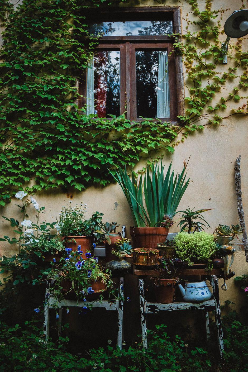  | Autor: Pexels/TIVASEE .