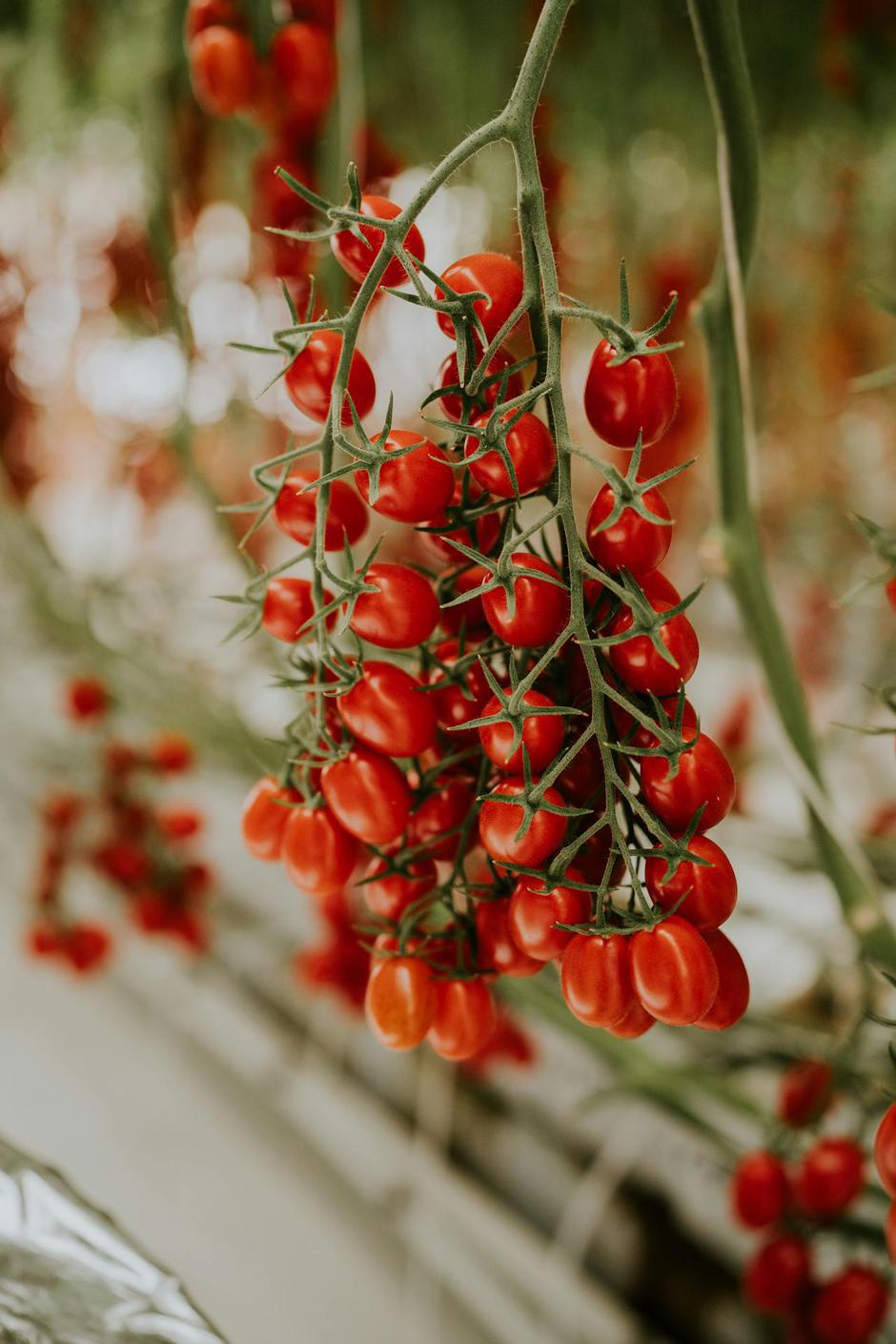  | Autor: Pexels/Amar Preciado