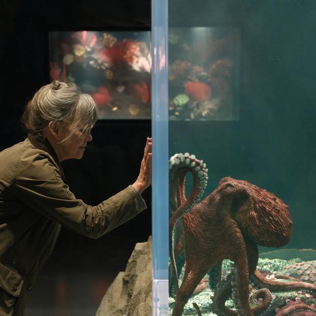 Netflixov film Remakably Bright Creatures