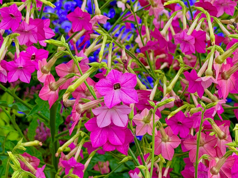  | Autor: Andy Wang/ Unsplash