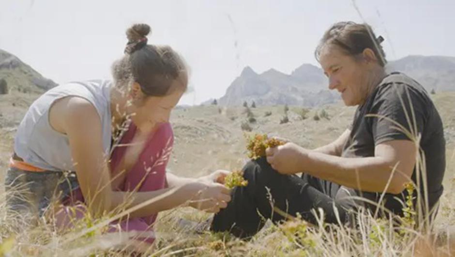  | Autor: Eva Kraljevic, WAKE UP FILMS