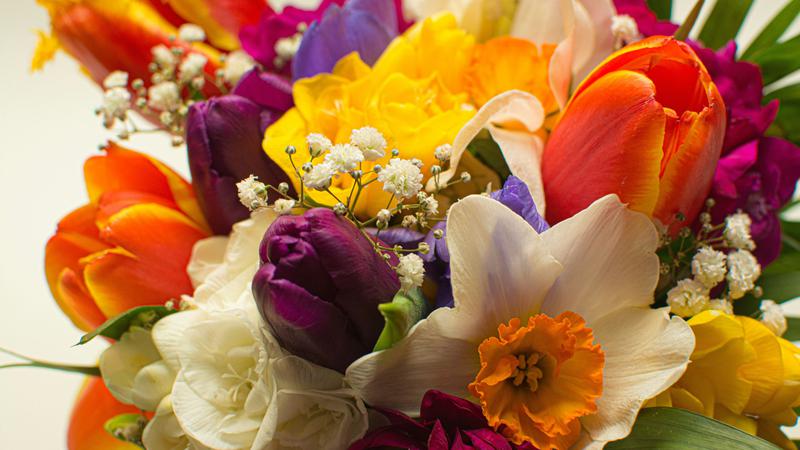 Ovo proljetno cvije&cacute;e ne bi trebalo stavljati zajedno u vazu - jedno je otrovno!