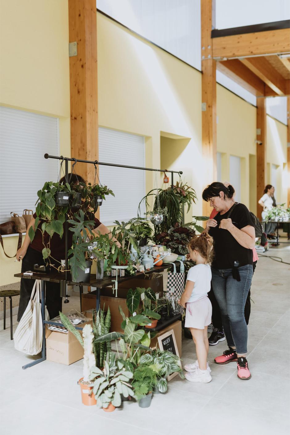  | Autor: Maja Riznić