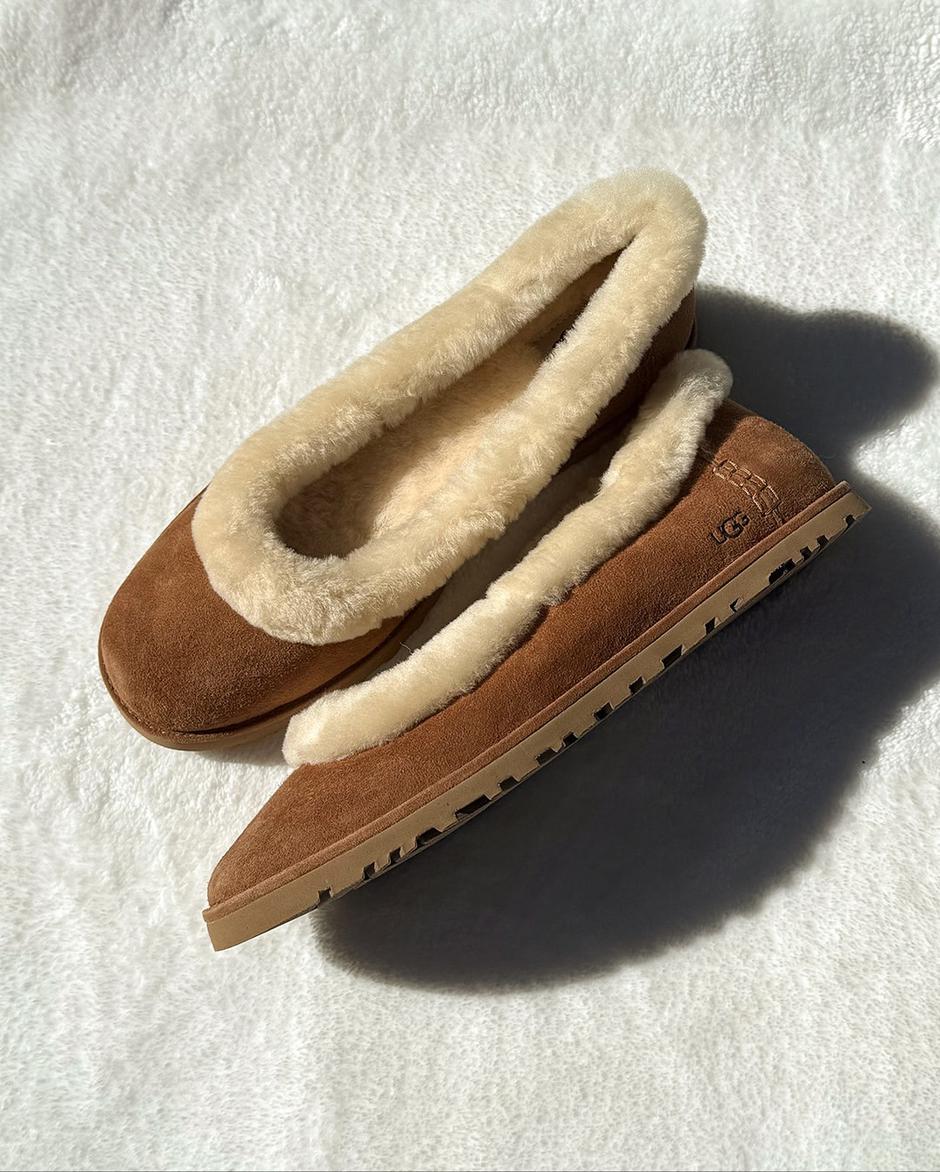  | Autor: Instagram @ugg