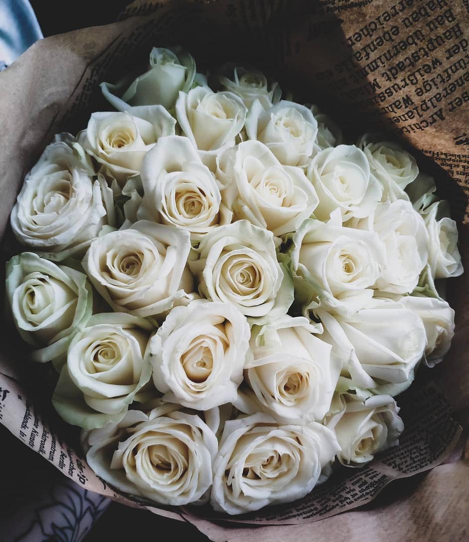 ruža | Autor: Instagram @haileybieber
