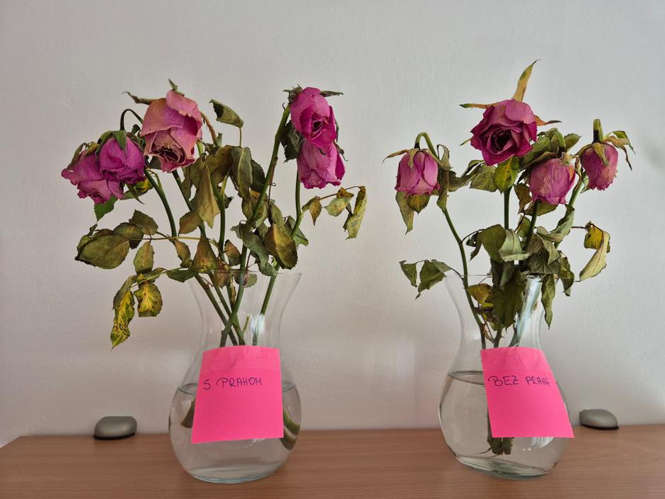  | Autor: Privatna arhiva