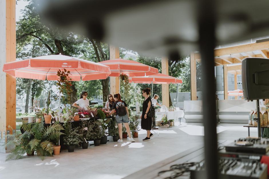  | Autor: Maja Riznić