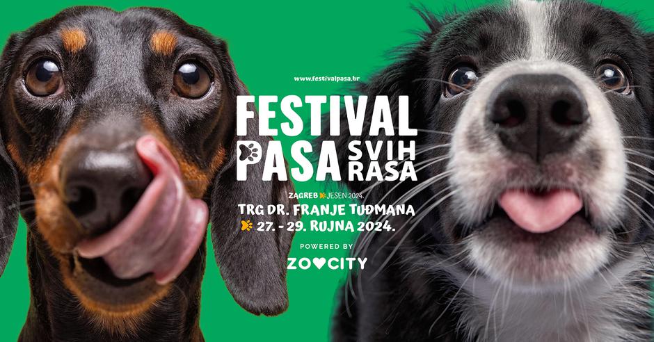  | Autor: Festival pasa svih rasa